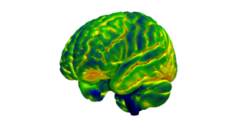 New twitter account for the lab of James Rowe