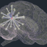 Media attention for the article by Thomas Cope et al.