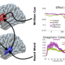 New publication in Nature Communications by Cope et al.