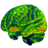 New twitter account for the lab of James Rowe